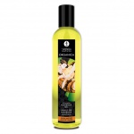 Organiczny olejek do masażu - Shunga Massage Oil Organic Almond Sweetness Migdały