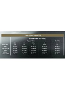 Wzorzyste bodystocking – Penthouse First Lady S/L  