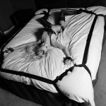 Zestaw pasów do rozpinania na łóżku - Pornhub 8 Point Underbed Kit  